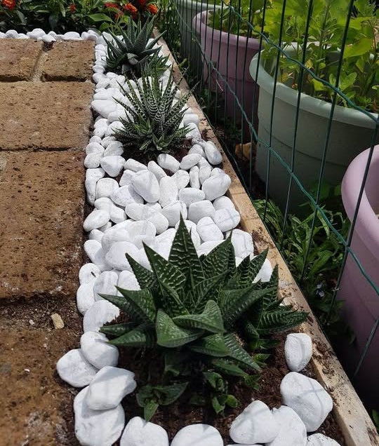 Premium Ultra White Pebbles 20kg | Decorative Garden Stones | Landscaping Rocks