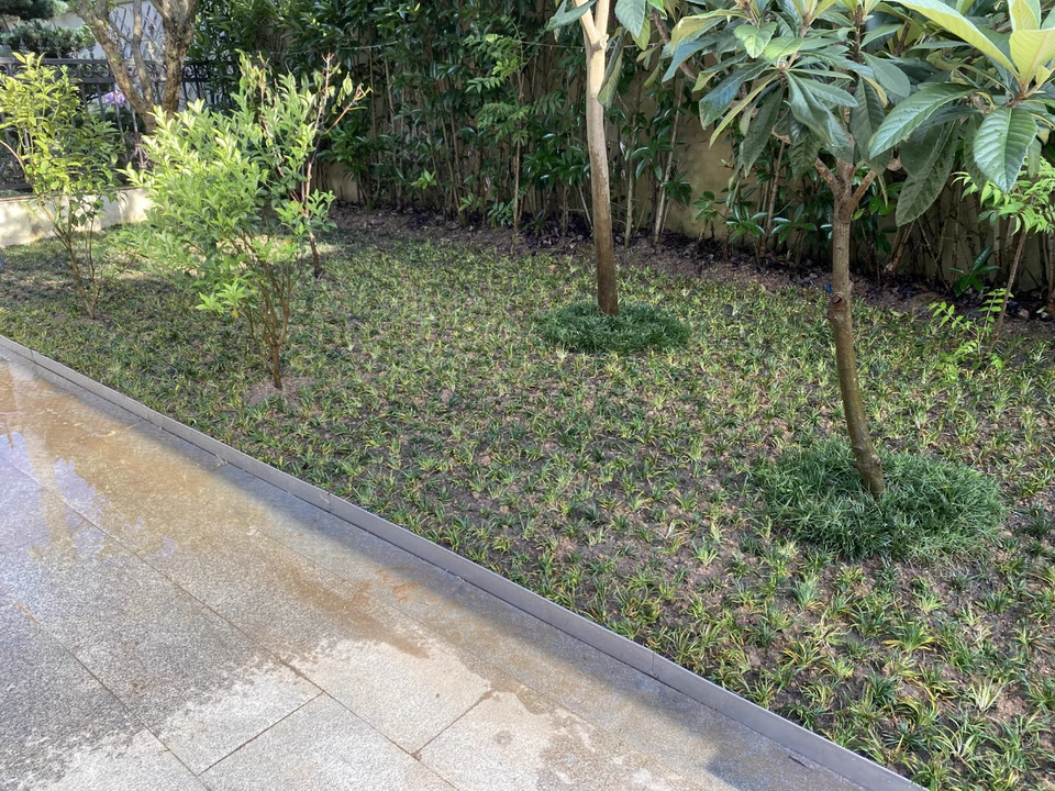 5m-Heavy duty stainless garden edge