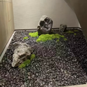 Black Polished Pebbles - 20kg/bag