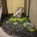 Black Polished Pebbles - 20kg/bag