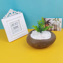 White Pebbles – Decorative Natural Stone,6-9mm, 2kg
